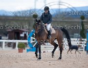 Indorami Tosc Tour2013- S5 1732 : Arezzo, Cavalli d'Italia, Indorami di Villa Giove, Toscana Tour 2013, foto di Stefano Secchi ©